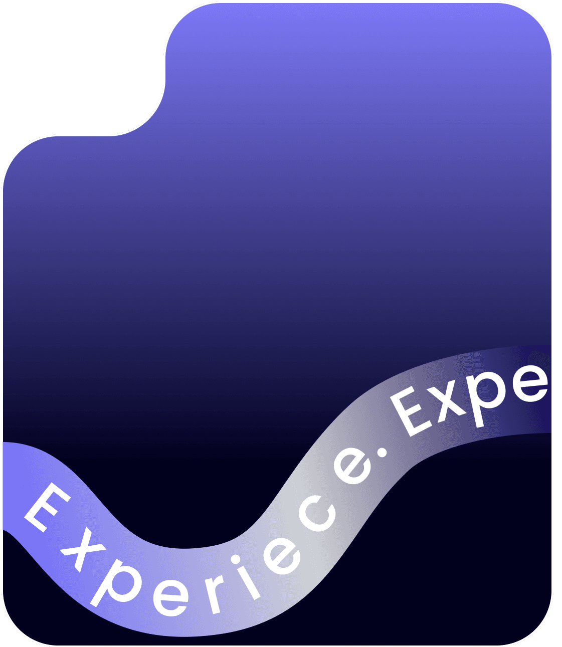 Experience